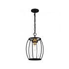 Mini suspendu Thyme Quoizel Lighting THY1511EK 100W 1 lumière Terre noire