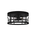 Plafonnier Brampton Quoizel Lighting BRM1614MBK 75W 1 lumière noir mat