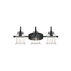 Applique de salle de bain Danbury Quoizel Lighting DNY8603EK 300W 3 lumières terre noire