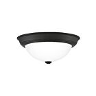 Plafonnier Erwin Quoizel Lighting ERW1613MBK 80W 2 lumières noir mat