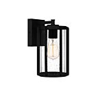 Lanterne murale Hazel Quoizel Lighting HAZ8406EK 100W 1 lumière terre noire