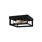 Plafonnier semi-encastré Infinger Quoizel Lighting INF1613EK 150W 2 lumières terre noire