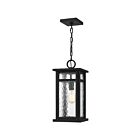 Lanterne d'extérieur Moira Quoizel Lighting MOI1908EK 100W 1 lumière terre noire