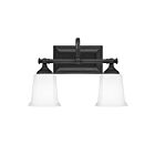 Applique de salle de bain Nicholas Quoizel Lighting NL8602EK 200W 2 lumières terre noire