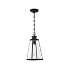 Mini suspendu Paxton Quoizel Lighting PAX1507MBK 100W 1 lumière noir mat