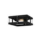 Plafonnier Beck Quoizel Lighting QFL5347EK 150W 2 lumières terre noire