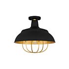 Plafonnier semi-encastré Darmody Quoizel Lighting QFL5357MBK 100W 1 lumière noir mat