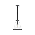 Mini suspendu Bristol Quoizel Lighting QP5260MB 100W 1 lumière noir chiné