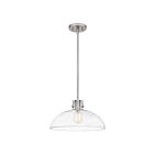 Suspendu Iona+B513 Quoizel Lighting QP5360BN 100W 1 lumière nickel brossé