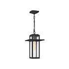 Mini suspendu Randall Quoizel Lighting RDL1509MB 100W 1 lumière noir chiné