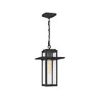 Lanterne d'extérieur Randall Quoizel Lighting RDL1909MB 100W 1 lumière noir chiné