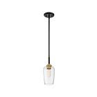 Mini suspendu Sagamore Quoizel Lighting SGR1505EK 100W 1 lumière terre noire