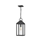 Lanterne d'extérieur Thorpe Quoizel Lighting TPE1908MB 100W 1 lumière noir chiné