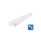 Reno Lighting RENO-HWR4-MW-DV-MCCT-MS-ECO Wattage sélectionnable 4' Enveloppant CCT sélectionnable