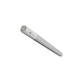 Tube LED T8 ballast bypass Reno Lighting WLL-LEDT8BP12-850-ECO-4FT 12W 4'