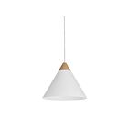 Renwil LPC4483 Daya LED 1-Lumière 40W Revêtement En Poudre Blanc Mat Suspendu