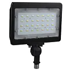 Projecteur LED Satco 65-539R1 50W Le bronze