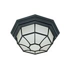 Plafonnier en cage d'araigné Nuvo Lighting 60-3452 1-Lumière 60W Noir texturé