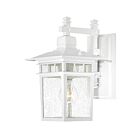 Lanterne murale d'extérieur Nuvo Lighting 60-3491 Cove Neck 1-Lumière 100W Blanc