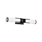 Satco 60-8052 Roselle 60W 2-lumières Noir mat Lumière Vanité