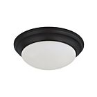 Plafonnier Satco 62-687 18W Noir mat