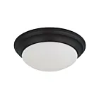 Plafonnier Satco 62-689 25W Noir mat