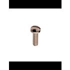 Vis à tête ronde fendue en acier Satco 90-2544 plaqué nickel