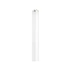 Tube T12 fluorescent Satco S26567 20W 2'