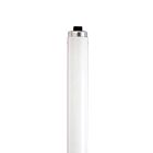satco S6449 35W T12 Fluorescent Tube 4200K