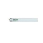 satco S8429 32W T8 Fluorescent Tube 5000K