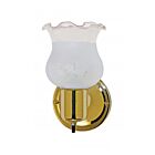 Vanité Nuvo Lighting SF77-120B 1-Lumière 60W Laiton poli