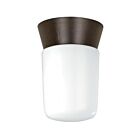 Plafonnier Nuvo Lighting SF77-156 1-Lumière 60W Bronzotique