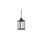 Lanterne suspendue d'extérieur Savoy House 5-3455-BK Dunnmore 1-Lumière 75W