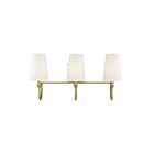 Luminaire de vanité Savoy House Essentials 8-2542-3-322 Cameron 3 Lumières 120W Laiton chaud