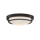 Plafonnier Savoy House Meridian M60019Orb 2 Lumières 120W Bronze Frotté À L'Huile