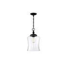 Suspendu Savoy House Meridian M70019Mbk 1 Lumière 60W Noir Mat