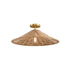 Savoy House Meridian M60074NB 1-Lumière 60W Laiton naturel Plafonnier Semi Encastré