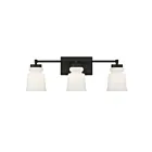 Luminaire de vanité Savoy House Meridian M80058MBK  3 Lumières 180W Noir mat