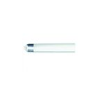 Tube T8 LED type C TCP LT812C40K 12W 4'