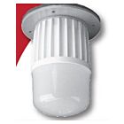 Swine Light TCP RDWHSLWDISK