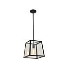 Suspendu Young Lighting 1170C-M-BK noir 1-lumière