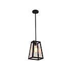 Suspendu Young Lighting 1170C-SM-BK noir 1-lumière