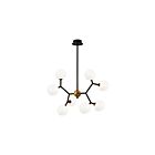 Lustre Young Lighting 1375C8 8 lumières noir et or