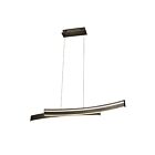 Suspendu LED à cordon Young Lighting 2052C noir 23W