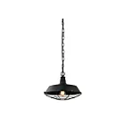 Suspendu Young Lighting 3002P-M-BK noir 1-lumière