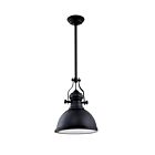 Suspendu Young Lighting 3008P-BK 1-lumière