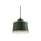 Suspendu Young Lighting 3058P-GR vert