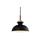 Suspendu Young Lighting 3059P-BK noir 1-lumière