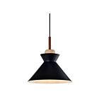 Suspendu Young Lighting 3060P-BK 1-lumière