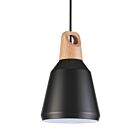 Suspendu Young Lighting 3062P-BK noir 1-lumière